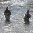 La temporada de pesca ha transcurrido en clave positiva en los ríos leoneses. MARCIANO PÉREZ