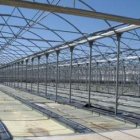 La planta de cogeneración entrará en funcionamiento entre febrero y marzo de 2009