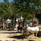 Estado del parque durante la Fiesta Andaluza de junio .