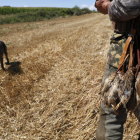 La media veda en Castilla y León llega a su fín el próximo domingo 19 de septiembre. FERNANDO OTERO