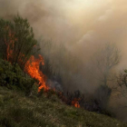 El incendio arrasó unas 550 hectáreas entre San Miguel y Sosas de Laciana. DL