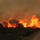 Un incendio devasta un bosque entre Palacios de Jamuz y Felechares, en una imagen de archivo