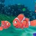 Nemo estará acompañado por un sinfín de compañeros en su particular viaje