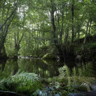 Actuaciones del proyecto Medwetrivers, Gestión y Seguimiento de Zonas Húmedas en Natura 2000. ICAL