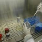 Laboratorio de la Unidad de Investigación del Hospital de León