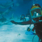 Jesús Calleja, buceando junto a tiburones limón.