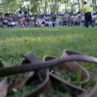 Todos los luchadores tuvieron que traer su propio cinto desde agosto