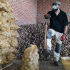 Javier cultiva en Sopeña de Carneros donde también tiene situado el almacén en el que guarda y envasa su producción de patatas. DL