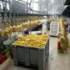 El apoyo a la industrialización y comercialización de productos agrarios es competencia de la Junta