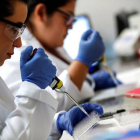 Científicas brasileñas trabajan en el laboratorio de Inmunología del Instituto del Corazón (Incor). SEBASTIAO MOREIRA
