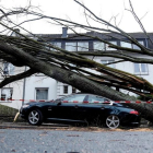 Un árbol caído sobre un coche en Dortmund (Alemania), el 18 de enero.