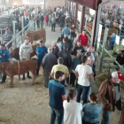 La exposición de ganado y mastines en Las Rozas, uno de los principales atractivos. ARAUJO