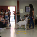 Terapia canina realizada por Rebican este fin de semana en Ponferrada.