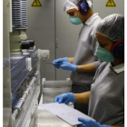 Operarios de DC Wafers en una línea de producción.