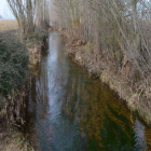 Imagen de uno de los arroyos que cruzan de norte a sur la comarca del Páramo. MEDINA