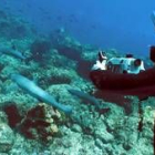 El programa Neptune pretende analizar el entorno submarino del océano Pacífico