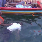 Al menos 86 muertos al naufragar un ferri con más de 300 pasajeros en el lago Victoria en Tanzania.