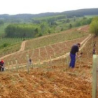 Residentes de Proyecto Hombre, ayer en el bosque de Prada.