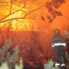 Un trabajador de montes ante las llamas de uno de los incendios de las últimas semanas en León