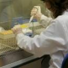 Una nueva prueba analítica permitirá tener mayor conocimiento sobre el virus del papiloma humano