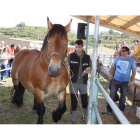 El concurso de ganados es una de las actividades clave en la zona de Lillo. CAMPOS