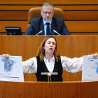 La procuradora socialista Rosa Rubio interviene en el Pleno de las Cortes de Castilla y León. NACHO GALLEGO