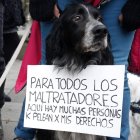 Un perro en una protesta contra el maltrato animal.