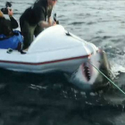 Momento del ataque del tiburón blanco a la lancha.