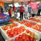 Tomate de Mansilla de las Mulas