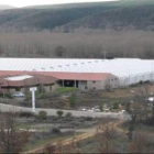 Los invernaderos han sido totalmente recuperados por la empresa Apaycachana.