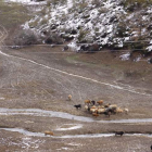 Algunas de las parcelas afectadas se encuentran en la zona de montes del valle de Hormas. CAMPOS