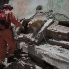Un miembro del equipo de rescate polaco, acompañado por un perro, busca supervivientes entre los escombros, este viernes en Katmandú.