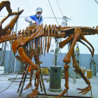 El geólogo José Vicente Casado, en su taller de Navatejera, donde construye réplicas de gigantescos dinosaurios. DL