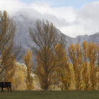 Paisaje de San Emiliano, en Babia.