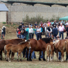 El Ayuntamiento de San Emiliano estima que 3.500 personas visitaron el concurso