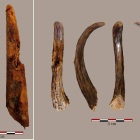 Instrumental encontrado en España elaborado por los neandertales hace 90.000 años. EFE