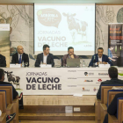 Las jornadas se celebraron ayer en el Paraninfo de la Universidad de León. F. OTERO PERANDONES
