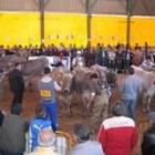 La subasta congregó numeroso público de toda la comarca