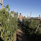 La población inmigrante ha ayudado a fijar población en el campo.