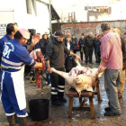 Los matarifes explicaron al público todo el proceso de la matanza del cerdo.