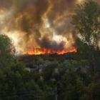 Los incendios siguen abrasando la masa forestal de la provincia