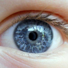 El color de los ojos puede ser determinante en la dependencia del alcohol, según genetistas de EEUU.