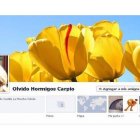 La página de Facebook de la concejala socialista del Ayuntamiento de Los Yébenes (Toledo) Olvido Hormigos Carpio.