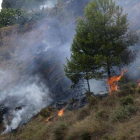 Bomberos de Alicante participan en las labores de extinción del fuego que afecta a matorral en el paraje cercano a Gormaig, ayer.