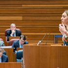 La procuradora socialista Virginia Bascones, durante su intervención en el Pleno de ayer. R. GARCÍA