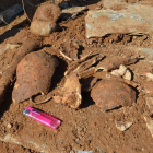 Algunos de los huesos humanos aparecidos en las tumbas. MEDINA