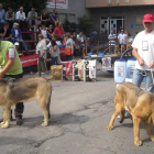 El concurso tuvo lugar frente al ayuntamiento.