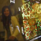 Biotecyl busca un tejido empresarial fuerte en la Comunidad en el sector sanitario. JESÚS F. SALVADORES