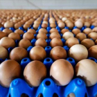 Vista de la producción de huevos de una granja en Putten (Holanda).