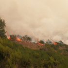 El fuego que afecta a Villar de Santiago, VANESSA ARAUJO